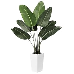 Feelead bird paradise for sale  Delivered anywhere in USA 