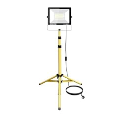 Rigidon 100w singola usato  Spedito ovunque in Italia 