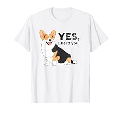 Oui trouille corgi d'occasion  Livré partout en France
