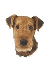Airedale terrier notebook. for sale  Delivered anywhere in UK