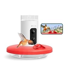 Birdfy hummingbird feeder for sale  Delivered anywhere in USA 