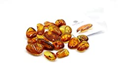 Baltic amber insect for sale  Delivered anywhere in UK