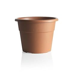 Bama vaso hedera usato  Spedito ovunque in Italia 