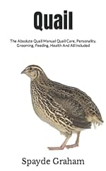 Quail absolute quail for sale  Delivered anywhere in Ireland