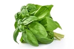 Lemon basil dried for sale  Delivered anywhere in USA 