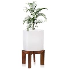 Hismocal wood plant for sale  Delivered anywhere in USA 