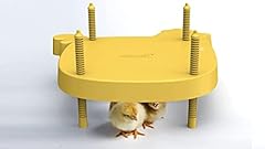 Mère poule plaque d'occasion  Livré partout en France
