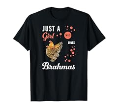 Brahma poules poulet d'occasion  Livré partout en France