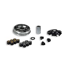5111260 variatore malossi usato  Spedito ovunque in Italia 
