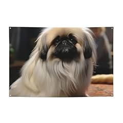 Striscione per cani usato  Spedito ovunque in Italia 
