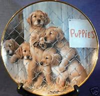 Adopt puppy aspca for sale  Delivered anywhere in USA 