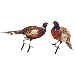 Ganazono 2pcs pheasant for sale  Delivered anywhere in USA 