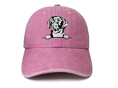 Hepandy labrador retriever for sale  Delivered anywhere in USA 