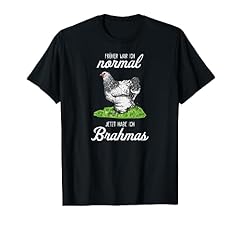 Brahma poulet henne d'occasion  Livré partout en France