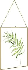 Tlbtek hanging photo for sale  Delivered anywhere in USA 