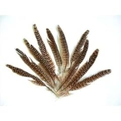 Kiddicraft feathers assorted for sale  Delivered anywhere in UK