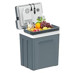 Sharewin electric cooler for sale  Delivered anywhere in USA 