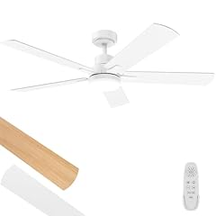 Ceiling fan light for sale  Delivered anywhere in USA 