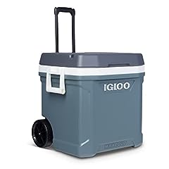 Igloo quart maxcold for sale  Delivered anywhere in USA 