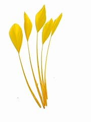 Long fascinators feathers for sale  Delivered anywhere in UK