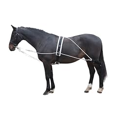 Shires lunging aid for sale  Delivered anywhere in UK