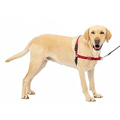 Petsafe harnais easy d'occasion  Livré partout en France