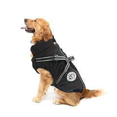 chien croise berger d'occasion chien croise berger d'occasion Livré partout en France