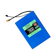 Tghy herausnehmbarer lithium gebraucht kaufen  Wird an jeden Ort in Deutschland