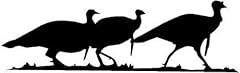 Turkeys line hunt for sale  Delivered anywhere in USA 