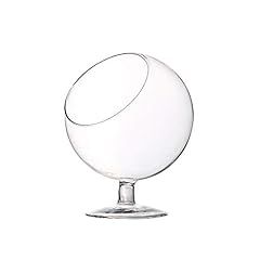 Wgv planter terrarium for sale  Delivered anywhere in USA 
