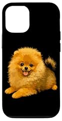 Poméranien chien pomeranian d'occasion  Livré partout en France