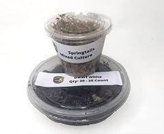 Bugzy bugs springtails for sale  Delivered anywhere in USA 