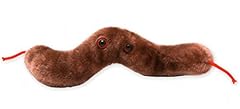 Diarrhea plush doll for sale  Delivered anywhere in UK