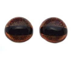 High dome brown for sale  Delivered anywhere in USA 