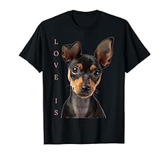 Miniatura pinscher camicia usato  Spedito ovunque in Italia 