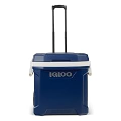 Igloo maxcold litre for sale  Delivered anywhere in UK