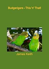 Budgerigars n for sale  Delivered anywhere in UK
