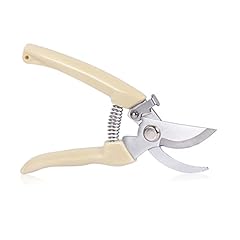 Garden scissors plant for sale  Delivered anywhere in USA 