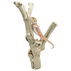 Apatal reptile branches for sale  Delivered anywhere in USA 