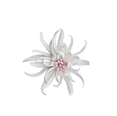 Amerry handmade porcelain for sale  Delivered anywhere in USA 