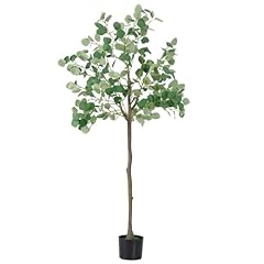 Liantral albero eucalipto usato  Spedito ovunque in Italia 