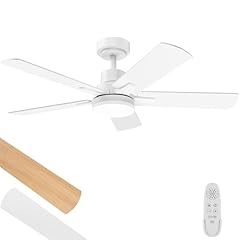 Ceiling fan light for sale  Delivered anywhere in USA 