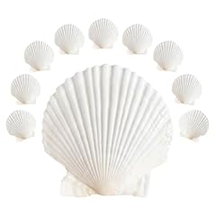 Asbefore 10pcs sea for sale  Delivered anywhere in USA 
