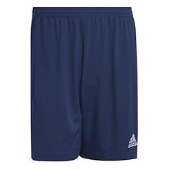 Adidas entrada shorts usato  Spedito ovunque in Italia 