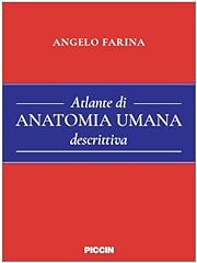 Atlante anatomia umana usato  Spedito ovunque in Italia 