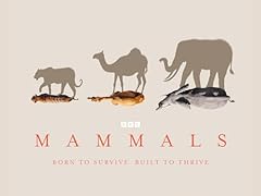 Planet earth mammals for sale  Delivered anywhere in UK