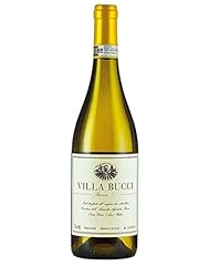 Verdicchio dei castelli usato  Spedito ovunque in Italia 