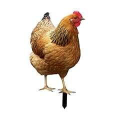 Leefasy hen statue for sale  Delivered anywhere in USA 