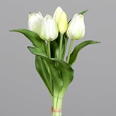Tulpenbund nature real gebraucht kaufen  Wird an jeden Ort in Deutschland