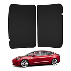 Basenor tesla model usato  Spedito ovunque in Italia 